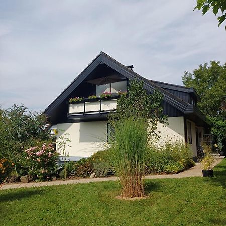 Ferienwohnung Sylvia Michelstadt Bagian luar foto